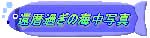�җ�߂��̊C���ʐ^